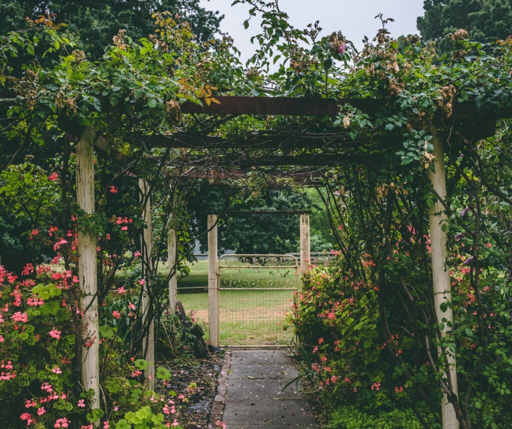 mitch-gaiser-IkiaJW5sA9k-unsplash